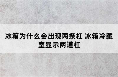 冰箱为什么会出现两条杠 冰箱冷藏室显示两道杠